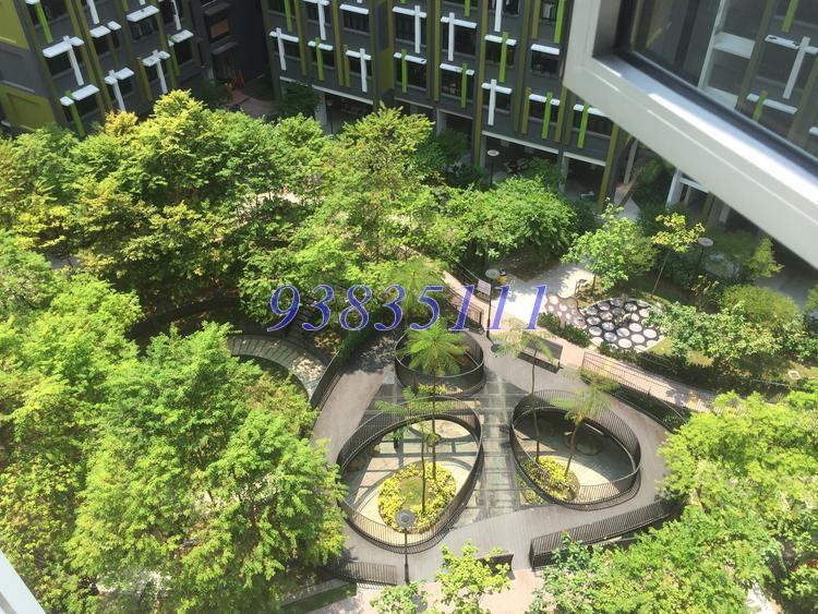 Blk 487 Segar Road (Bukit Panjang), HDB 4 Rooms #155357662